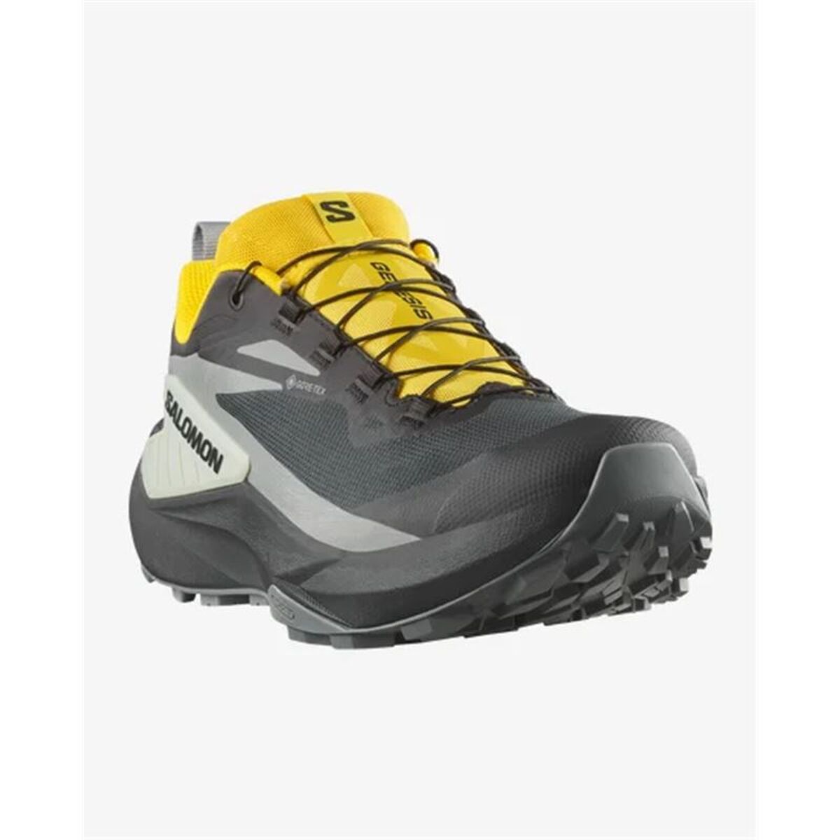 Men's trail running shoes (mountain running) Salomon Genesis Gtx Black