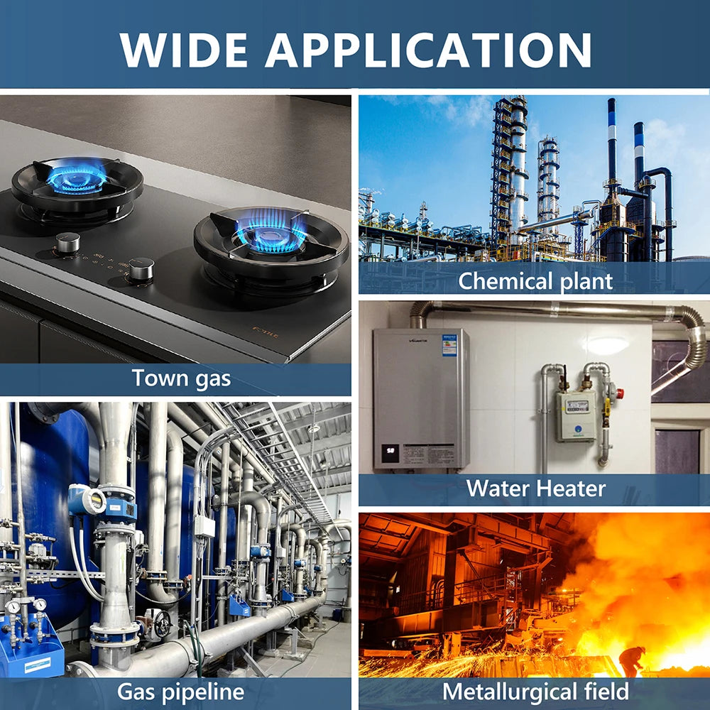Combustible Gas Leak Detector Natural Gas CO CH4 C2H6 Alcohol LPG Alarm Detector Professional Analyzer with Audible Visual Alarm